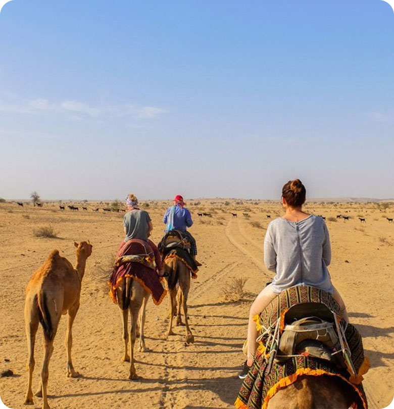 half-day-sunset-camel-safari-jaisalmer-murad-haveli