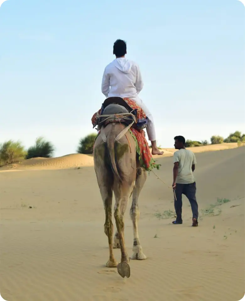 one-day-camel-safari
